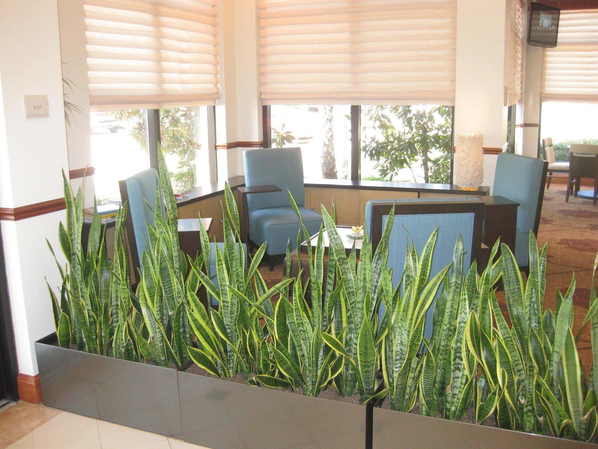 Courtyard By Marriott Dallas Arlington Entertainment District Ngoại thất bức ảnh